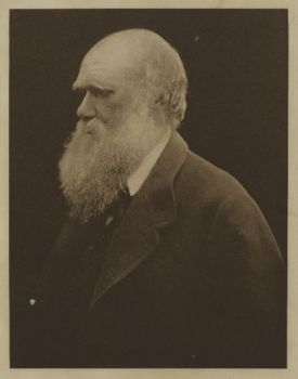 photograph Charles Darwin 1868 
